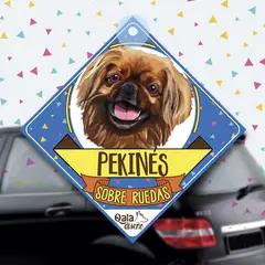 QALA DISEÑO - Colgante de auto 15x15 cm - - Perro Pekinés