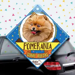 QALA DISEÑO - Colgante de auto 15x15 cm - - Perro Pomerania