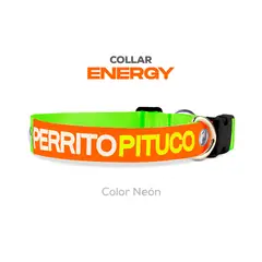 PERRITO PITUCO - COLLAR ENERGY NEÓN TALLA S
