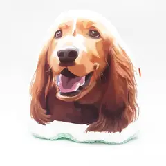 QALA DISEÑO - Almohada Decorativa - - Perro Cocker