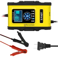 GENERICO - Cargador inteligente baterias grandes 12v 24v camiones carro