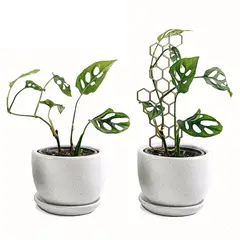 UN CUARTO VERDE - Soporte Panal Delgado para plantas parante tutor de 32cm