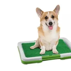 GENERICO - Baño Ecológico Portátil para Mascotas