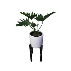 GENERICO - FILODENDRO SELLOUM EN MACETA Y PEDESTAL DE MADERA