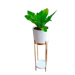 GENERICO - HELECHO ALEMAN EN MACETA BLANCA Y PEDESTAL DE FIERRO