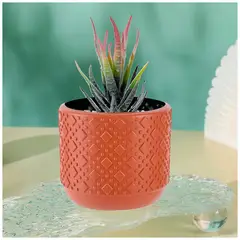 SASHIJA - Maceta Decorativa Macetero Circular L53 Naranja