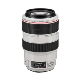 CANON - EF 70-300mm f/4-5.6L IS USM Lente - Blanco