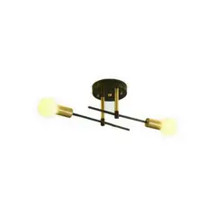 DANWEILE - Lámpara de techo LED moderna dos focos - Negro y Dorado