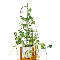 UN CUARTO VERDE - Soporte de metal para plantas parante tutor de 70cm color negro
