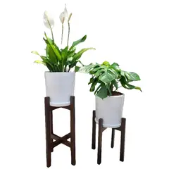 GENERICO - COMBO DE LIRIO DE PAZ Y MONSTERA EN MACETA Y PEDESTAL