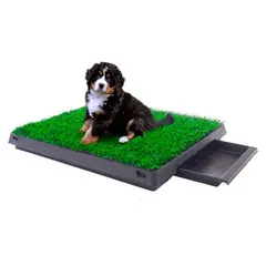 GENERICO - Baño Ecologico Portatil con Cesped para Perros Grande