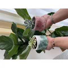 BIOPHILIA - Mini Maceta Hojas