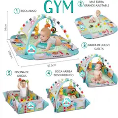 IDEAL - Gimnasio Musical 5 en 1 multifunción G Y M