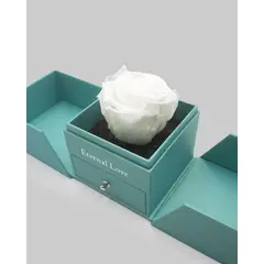 AIROSA - ROSAS PRESERVADAS - Rosa eterna preservada color blanco