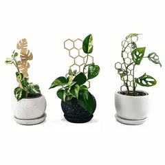 UN CUARTO VERDE - Soportes para plantas parante tutor de 30cm 3 Modelos
