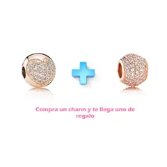 FERNANDA ROMERO JOYAS Y ACCESORIOS - 2 Dijes Charm : 1 Corazón Acero + 1 charm Barrilito ambos con circones