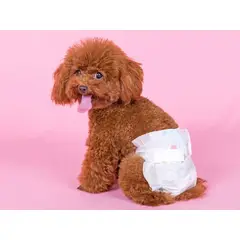 GENERICO - Pañal para mascotas Hembra Talla L