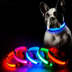 QUE PATAS PET SHOP - Collar LED para Mascotas Amarillo Talla M