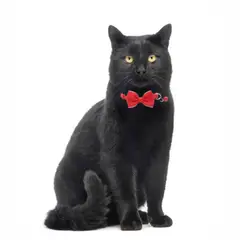 GENERICO - Collar Corbata Michi Cascabel para Gato Perro - Rojo