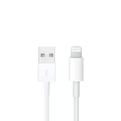 OEM - Cable iPhone Lightning - USB 1M