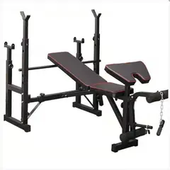 ALPHA GYM - Banco para pesas de doble rack y predicador Mini gym
