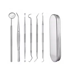 42AROZINA - Set De 7 Herramienta De Limpieza Dientes Acero Inoxidable