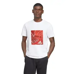 ADIDAS - Polo Hombre M Photo G T - HR5761