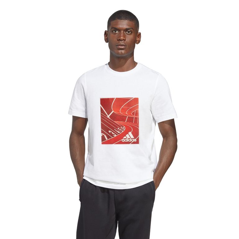 Polo Hombre M Photo G T - HR5761