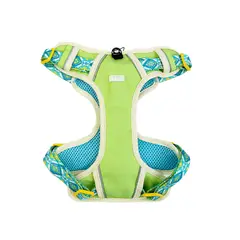 GENERICO - Arnes para Perro Raza Toy