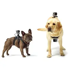 SHOOT - Arnes de perro para Gopro Hero 12 11 10 9