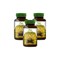 AMAZON ANDES - Pack x 3 Maca Negra Orgánico en cápsulas 100u - 500mg -
