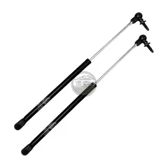 JEEP - Amortiguadores Vidrio de Maletera Grand Cherokee WJ 1999-2004