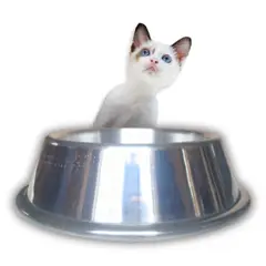 GENERICO - PLATO DE ALUMINIO PARA MASCOTA GATO.