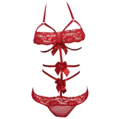 GENERICO - Body o Teddy Rosella Lencería