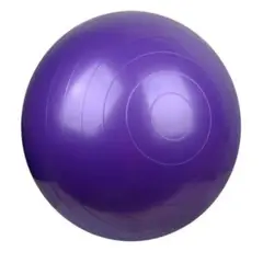 ALPHA GYM - Pelota para yoga y pilates Inflador 85cm Profesional