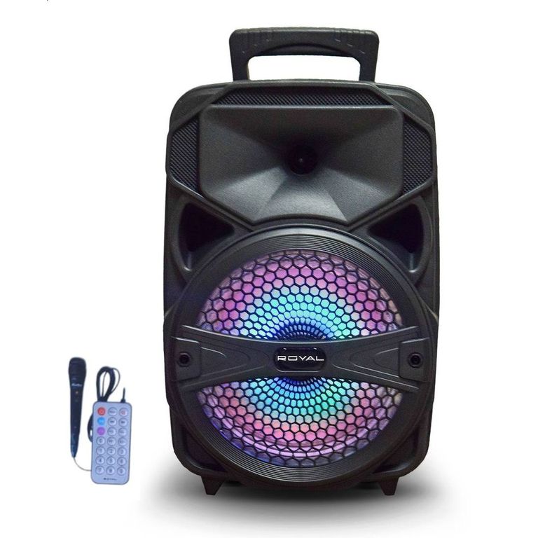 Parlante Inalambrico de 8 RY-BT808