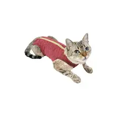 GENERICO - Faja Post Operatoria para mascota Talla 1 Hembra