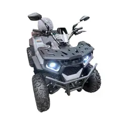 GENERICO - Cuatrimoto 200cc a Gasolina Pantalla LED Todo Terreno Aro 10