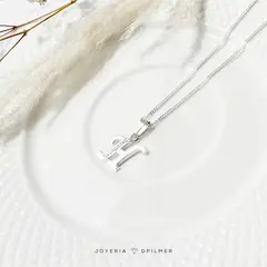 GENERICO - CADENA DE PLATA CON DIJE LETRA H