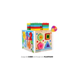 GENERICO - CUBO DE ENCAJE CON PLANTADO