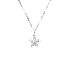 GENERICO - Collar Estrella De Mar Punteado Regalo Mujer Joya Plata