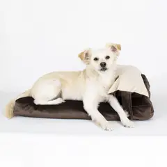 GENERICO - Cama Perro Cloud Marrón XL