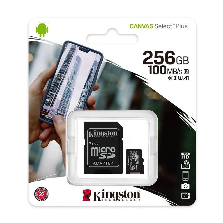 Memoria Micro SD 256GB Canvas Select Plus