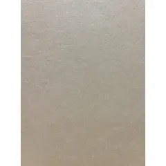 GENERICO - PAPEL TAPIZ BRILLOSO BEIGE 0.53 X 10 M CODIGO A52 PARA PARED