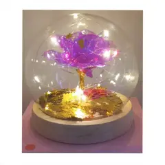 GENERICO - Rosa Eterna Luces Led Cúpula Vidrio Flor Eterna Artificial blanca