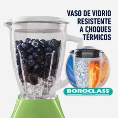 OSTER - Licuadora de 2 Velocidades con Pulsador Kiwi