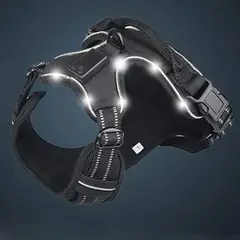 CAT OH - Arnés para perros LED Negro XL