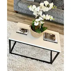 GENERICO - Mesa de Centro Atacama