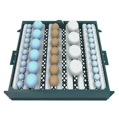 CAIM - INCUBADORA DE 64 HUEVOS MARCA INCUBADORAS