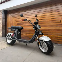 SHEEPBUSTER - Scooter Electrico New Chopper 2 Gris 2000W 30AH